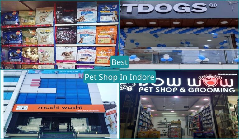Best Pet Shop In Indore