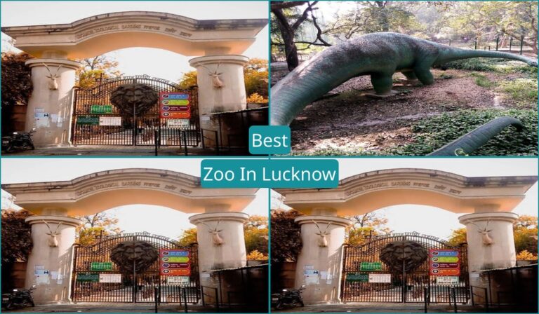 Best Zoo In Lucknow